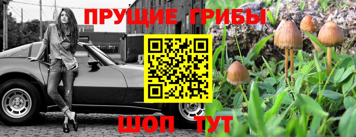 Галлюциногенные грибы прущие грибы  Вход с VPN  Дедовск 