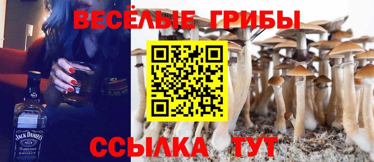 Псилоцибиновые грибы мицелий Дедовск